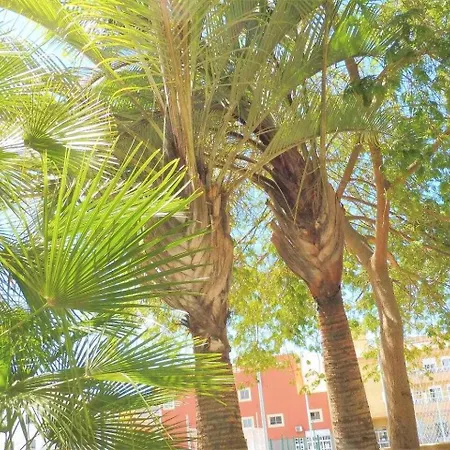 Vacaciones Sur Tenerife Ofogar Apartment San Isidro (Tenerife)